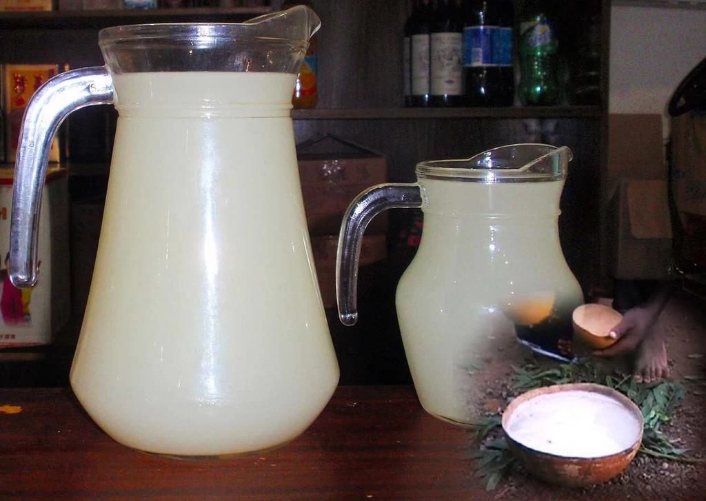 Palm Drink